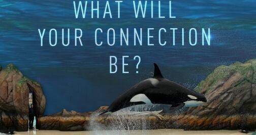 Los eventos de Halloween para niños en SeaWorld San Diego