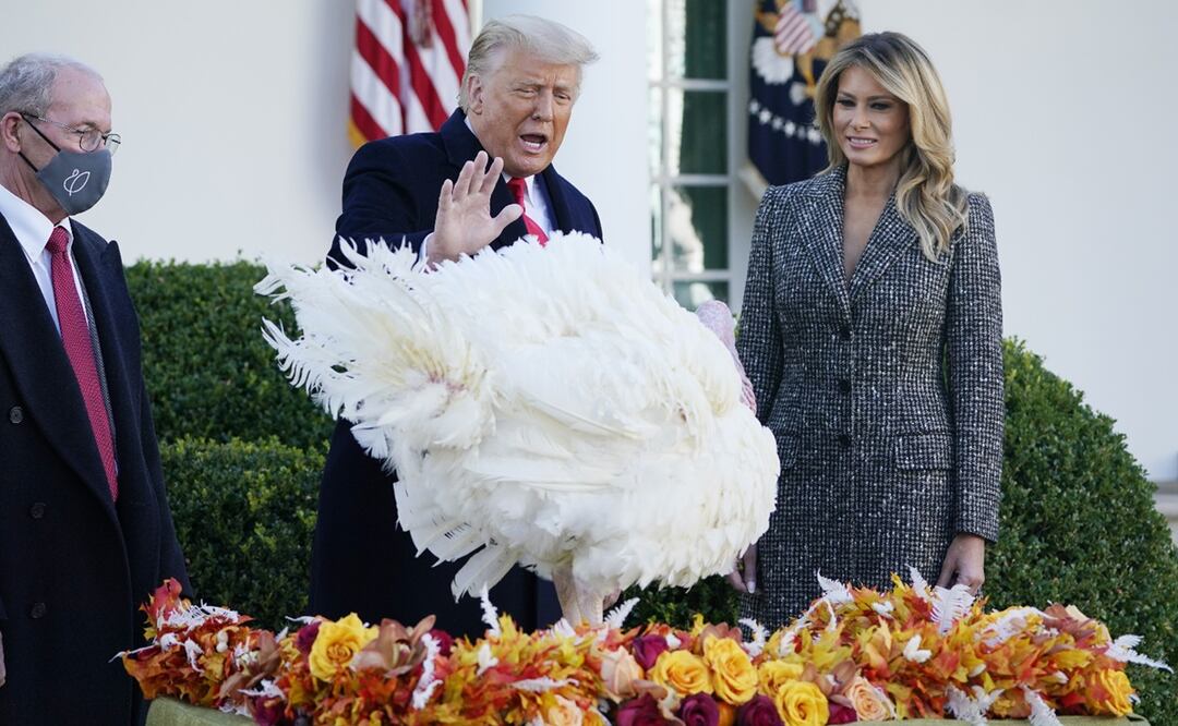 Thanksgiving 2025: Trump indultará a Gobble y Waddle, los pavos protagonistas de este año. Archivo AP