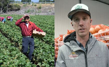 Reportan falta de trabajadores agrícolas tras deportaciones de Trump; empresario los defiende. VIDEO