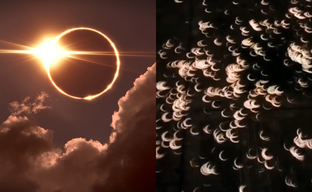 Eclipse total de sol 2024. ¿Qué es el efecto pinhole y cómo observar el ‘anillo de fuego’  en la sombra de los árboles? iStock/Pitris/TikTok