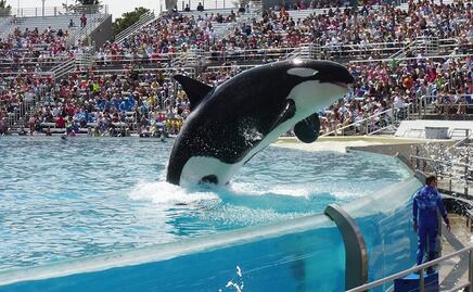 SeaWorld presenta plan de reapertura de sus parques