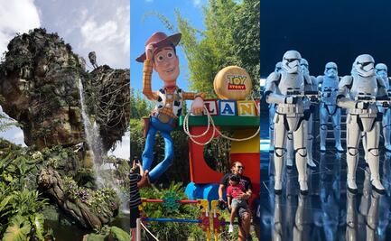 Las 12 mejores atracciones de todo Walt Disney World (Florida) 