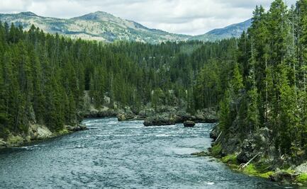 Reabren las entradas al Parque Nacional Yellowstone en Montana