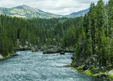 Reabren las entradas al Parque Nacional Yellowstone en Montana