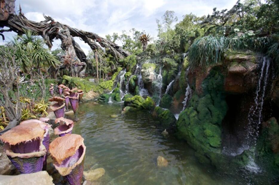 Atracciones que encontrarás en Pandora-El Mundo de Avatar (Disney World)
