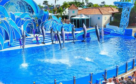 SeaWorld San Diego cierra el famoso simulador Wild Arctic
