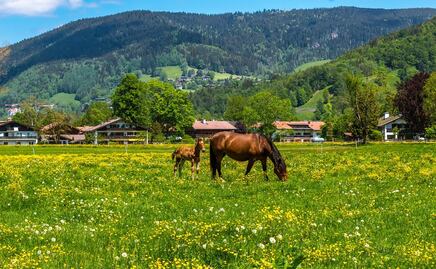 Así es The Ranch, el hotel más caro de Estados Unidos