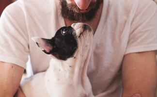 ¿Los perros lloran cuando ven a sus dueños? Esto explica la ciencia 