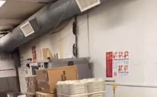 Cierran restaurante de Popeyes en EU tras viralizarse infestación de ratas