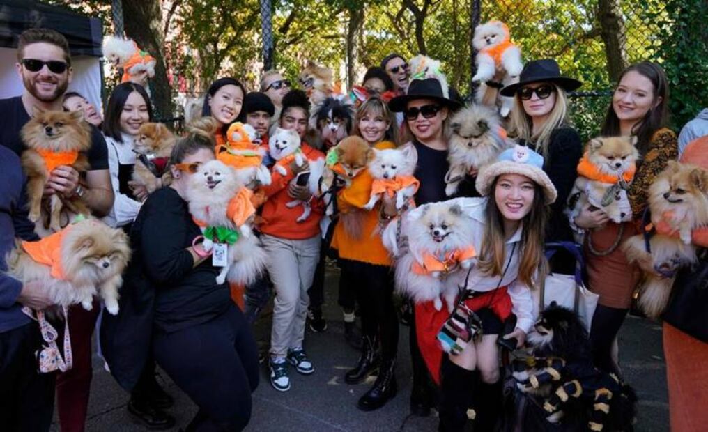 Los disfraces de Halloween más populares en EU para este 2022