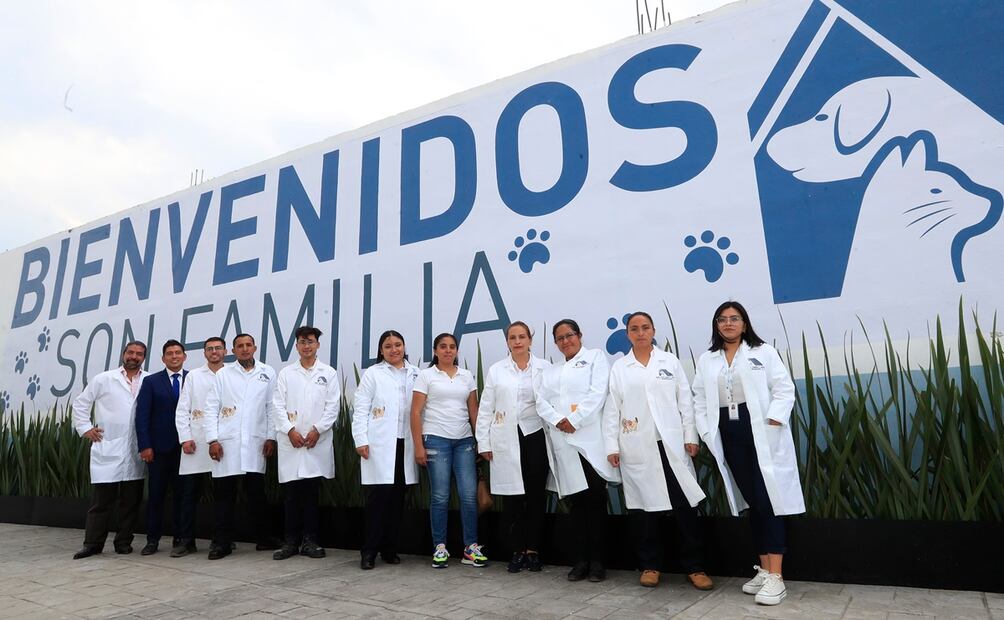 Inauguran en México primer hotel para perros y gatos abandonados para crear conciencia/ EFE/Mario Guzmán