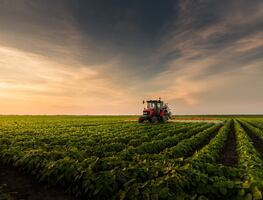 ¿Qué son las Cabañuelas y qué tienen que ver con la predicción del clima?
