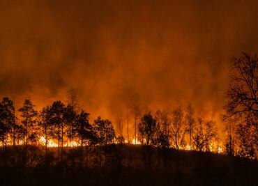 Fuego fuera de control en San Bernardino y Los Ángeles obliga a evacuaciones masivas