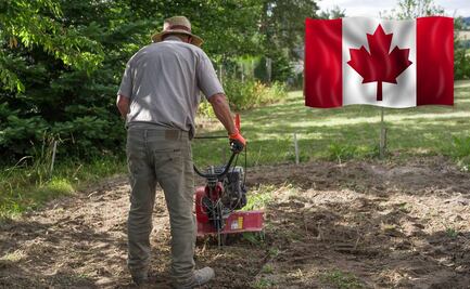 Solicitan trabajadores de mantenimiento para club en Canadá (sin inglés)