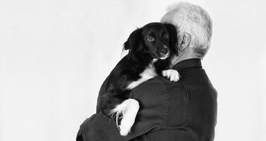 Mascotas disminuyen la depresión tras una pérdida conyugal 