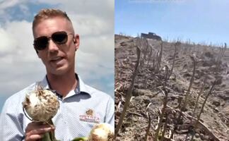 Empresario reporta crisis agrícola en EU por falta de trabajadores migrantes; "Nadie viene ni por $16 dólares la hora"