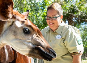 Día Mundial del Okapi: Mori, una cuidadora de animales que cumplió su sueño en Disney