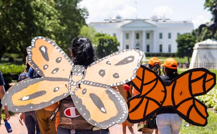EU, lejos de aprobar la ley que daría ciudadanía a 'dreamers'