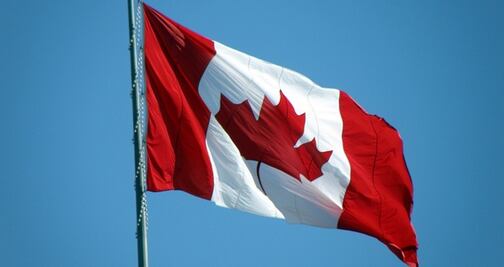 Lanzan oferta para trabajar en procesamiento de camarones en Canadá