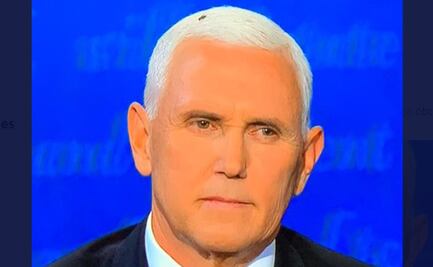 Mosca en cabeza de Pence, el dato curioso del debate con Harris
