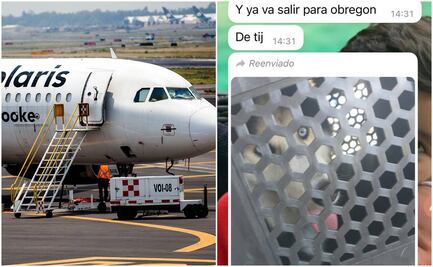 “Lo tuvieron 12 horas enjaulado”: hombre acusa que aerolínea olvidó a su perro