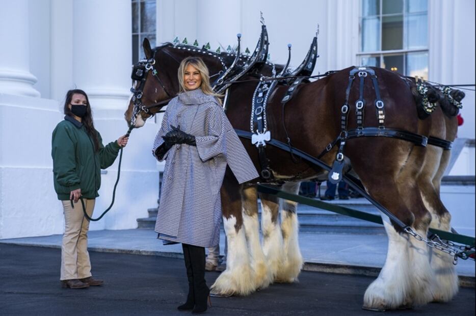 El lujoso abrigo con el que Melania Trump recibió el árbol de Navidad