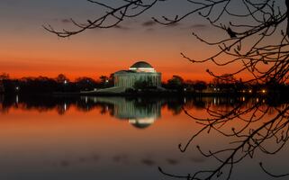 10 actividades 'must' para festejar Día de Muertos y Halloween en Washington DC