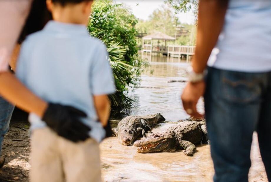 Día de la Tierra. Kissimmee, el destino para celebrar la naturaleza