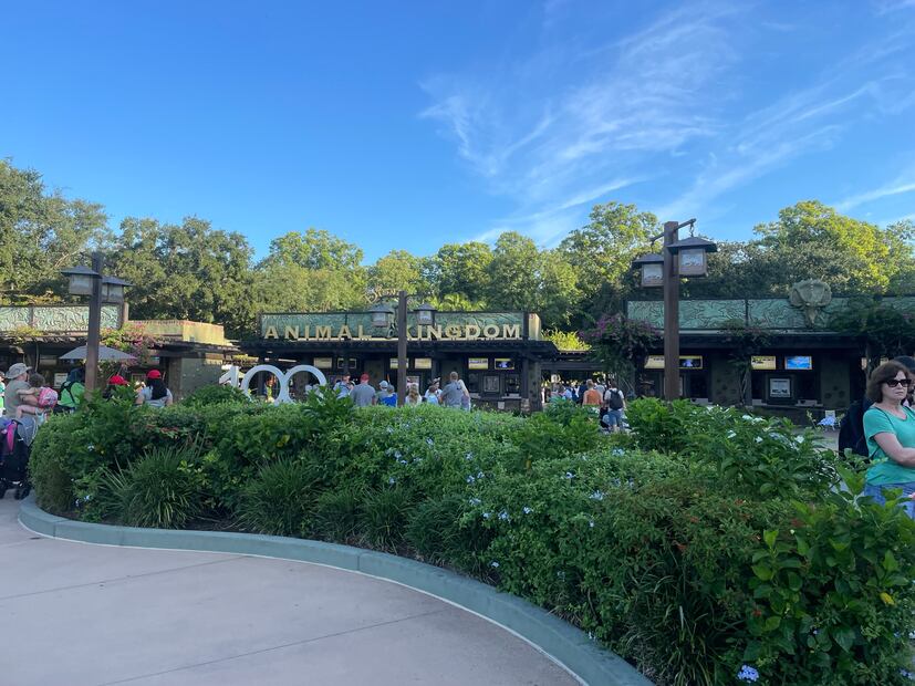 Disney's Animal Kingdom/ Foto: Diana Espinoza
