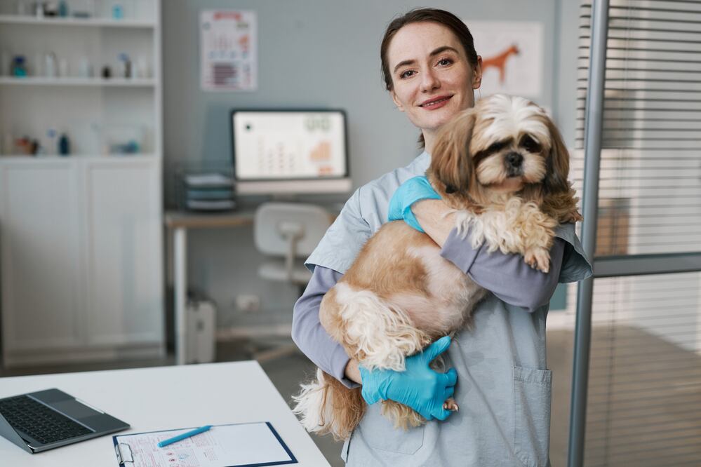Vacante en Estados Unidos para trabajar como veterinario; requisitos, sueldo y cómo aplicar. Foto: iStock / SeventyFour