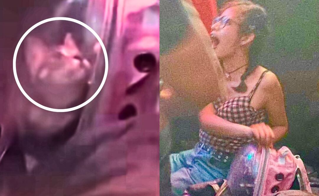 ¡Indignante! Joven lleva un gatito de antro y lo somete a altos niveles de estrés | Imágenes: video Facebook Mundo Patitas