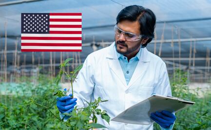 Solicitan mexicanos para trabajo en la Embajada de Estados Unidos; pagan $745,072 anuales