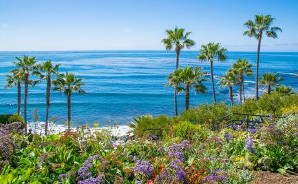 De San Diego a San Francisco: Lugares para visitar en un road trip por la Costa de California 