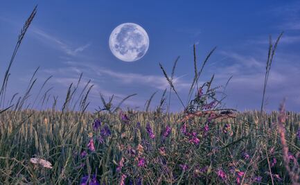 Lluvia de meteoritos Eta Acuáridas, una Microluna de flores y otros fenómenos astronómicos de mayo