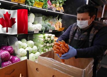 Buscan mexicanos para trabajar en supermercado de Canadá (sin inglés)