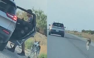 Video. Arrestan a hombre por abandonar a su perro en la orilla de la carretera 