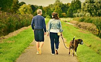 ¿Cuáles son los beneficios de caminar diariamente?