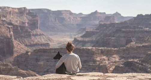De Las Vegas al Gran Cañón: un tour para ti y tu perro