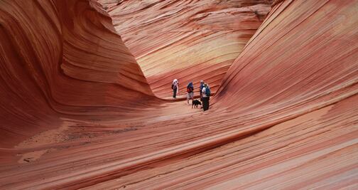 Planean extender permisos para visitar The Wave 