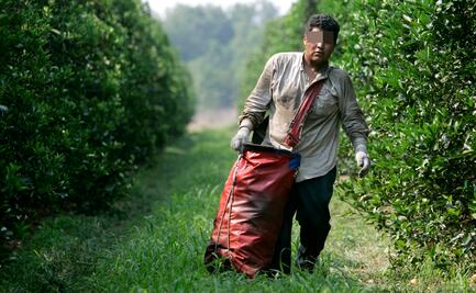 Consulado de Estados Unidos alerta por fraude en visas de trabajo