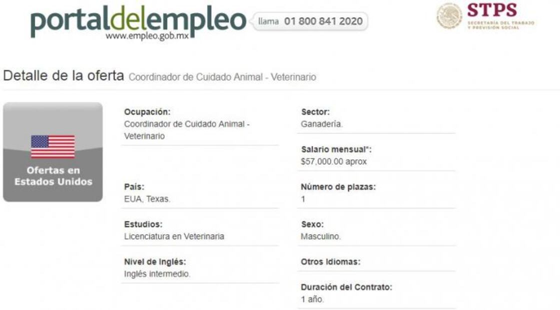 Solicitan veterinario mexicano para trabajar en Estados Unidos por $57,000