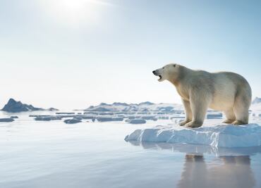 Estudio advierte sobre eventos extremos en la Antártida desatados por la crisis climática