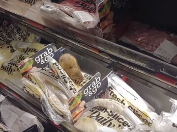 Graban a rata comiendo queso en estante de supermercado en Illinois