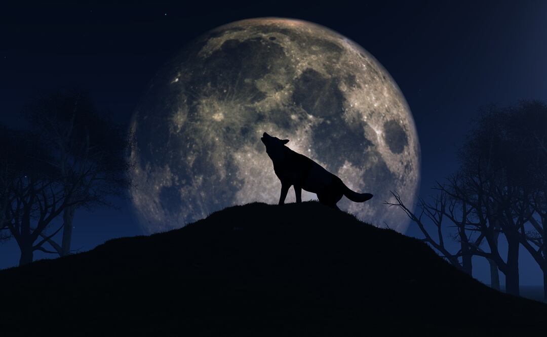 Luna llena del lobo y los primeros eventos astronómicos del 2024. Foto: iSTOCK/kirstypargeter