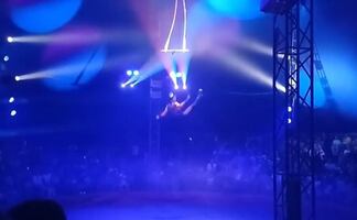 VIDEO: Trapecista de circo en Rusia cae al vacío durante función en vivo