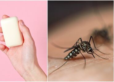 El jabón que usas puede hacerte más atractivo para los mosquitos