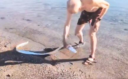 Avistamiento del pez remo en Baja California preocupa a habitantes. ¿Es el pez que anuncia el "fin del mundo”? 