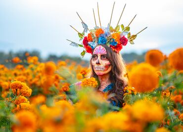 Día de muertos 2024. ¿Cempasúchil mexicano o chino? Descubre las diferencias de esta flor para tus ofrendas