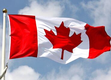 Canadá busca mexicanos para trabajar por $36,000 en procesadora