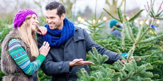 La mejor fecha para comprar el árbol de Navidad